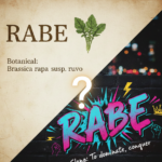 What Does "Rabe" Mean in Slang? Definition and Usage Explained