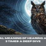 The Spiritual Meaning of Hearing an Owl Hoot 3 Times: A Deep Dive