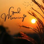 Is "Good Morning" One or Two Words? The Definitive Guide