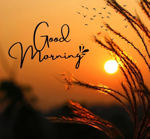 Is "Good Morning" One or Two Words? The Definitive Guide