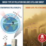 Which Type of Pollution Includes CFCs and Smog?