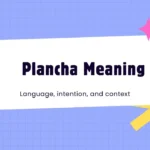 Plancha Meaning Explained: Origins, Uses, and Cultural Context